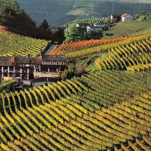 Cykelresor asti langa monferrato