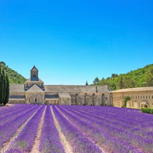 Hike in the wine region of Provence