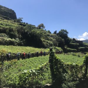 Madeira