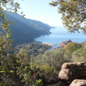 Corsica, Corte to Piana