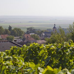 Champagne - cycling
