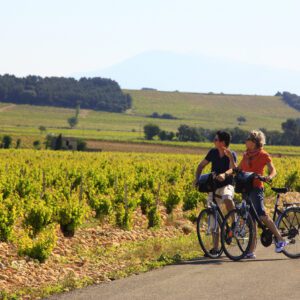 Provence: from Avignon to Châteauneuf-du-Pape