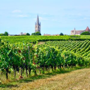 Bordeaux - cycling