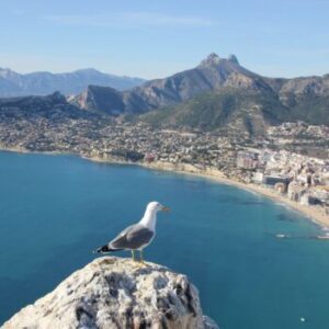 Costa Blanca: Alicante to València