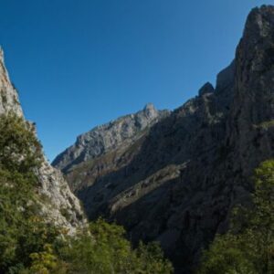 Picos de Europa