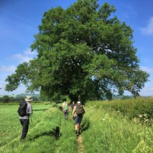 Cotswold Way